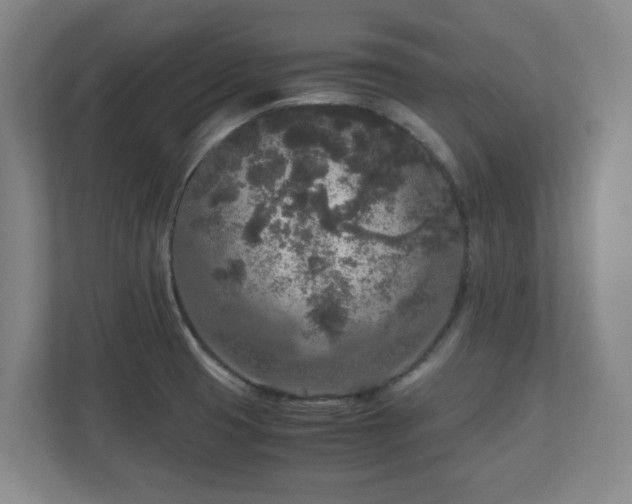 X0000110951425200906191241