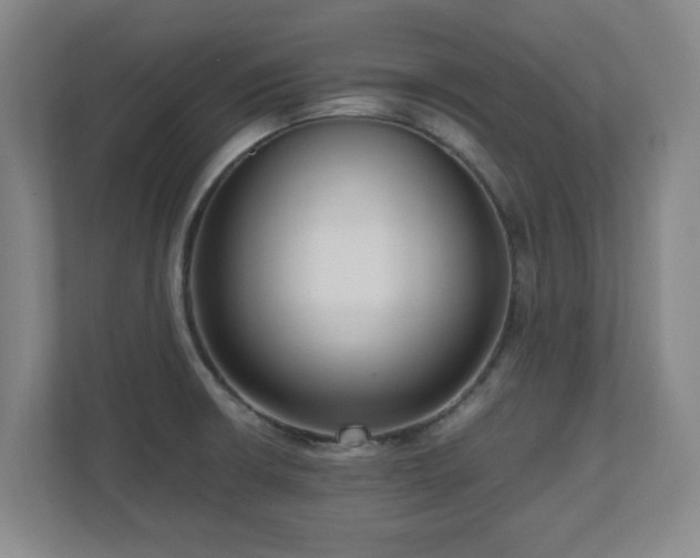 X0000110951426200906191242
