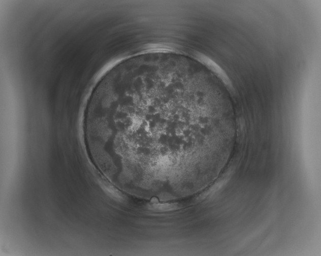 X0000110951427200906191242