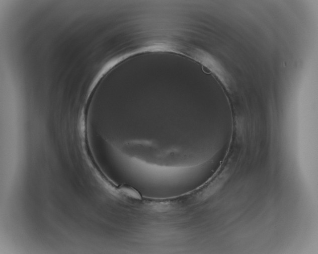 X0000110951428200906191242