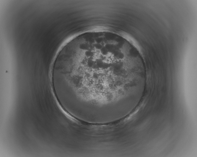 X0000110951429200906191242