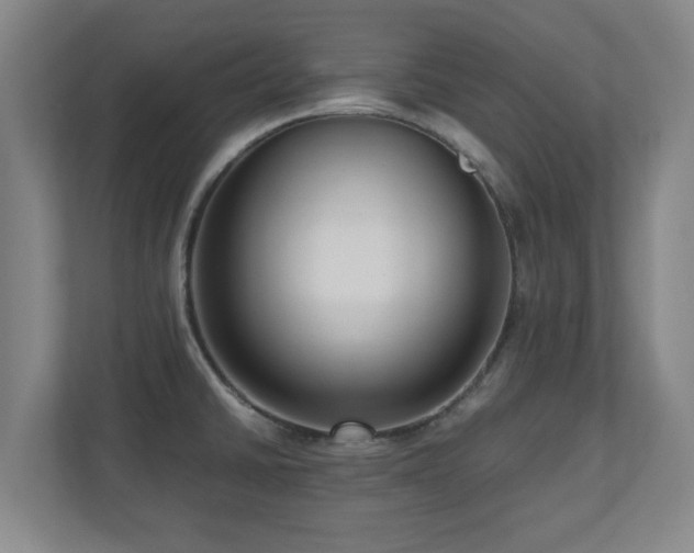 X0000110951430200906191242