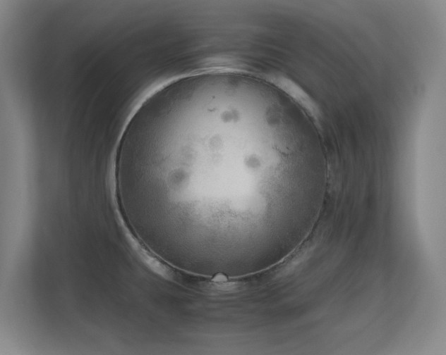 X0000110951431200906191242