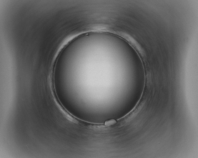 X0000110951432200906191242