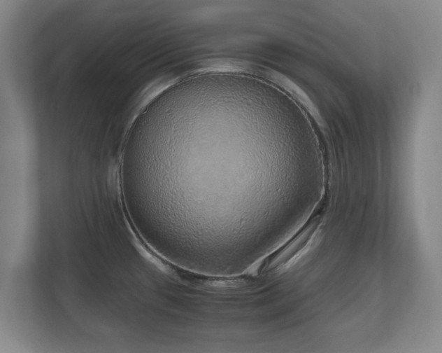 X0000110951433200906191242