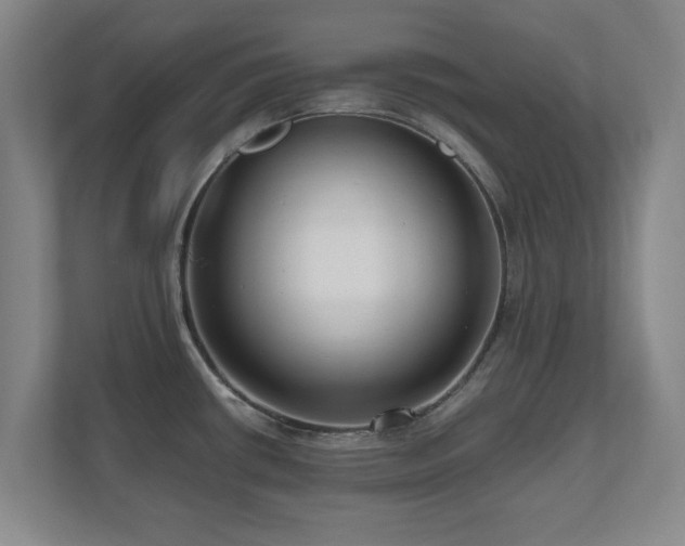 X0000110951434200906191242