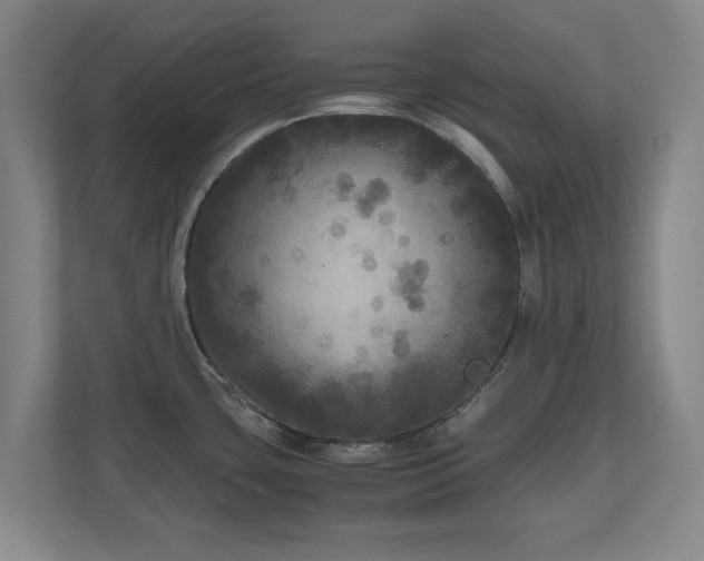 X0000110951435200906191242
