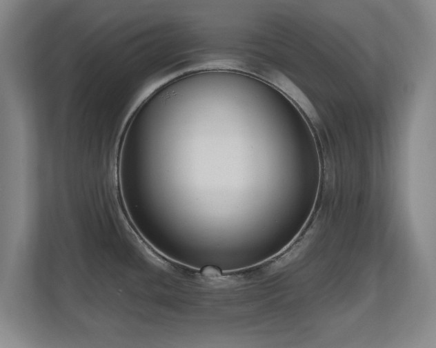 X0000110951436200906191242