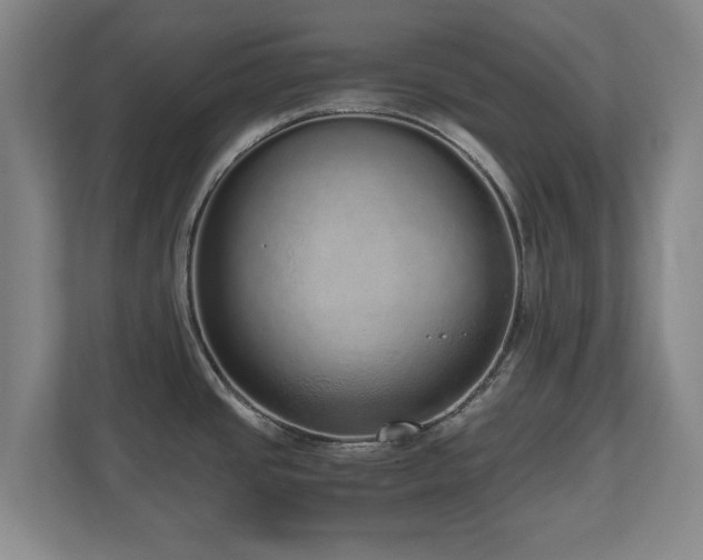 X0000110951437200906191242