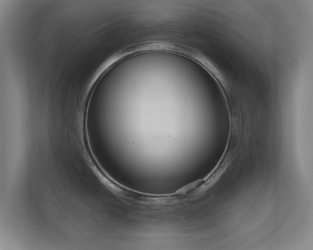 X0000110951438200906191242