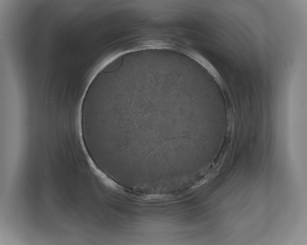 X0000110951439200906191242