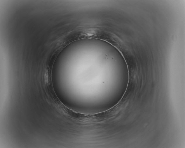X0000110951442200906191241
