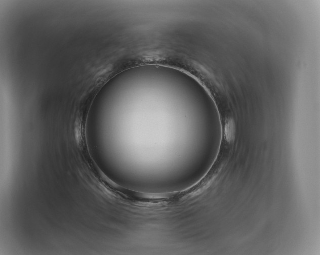 X0000110951444200906191241