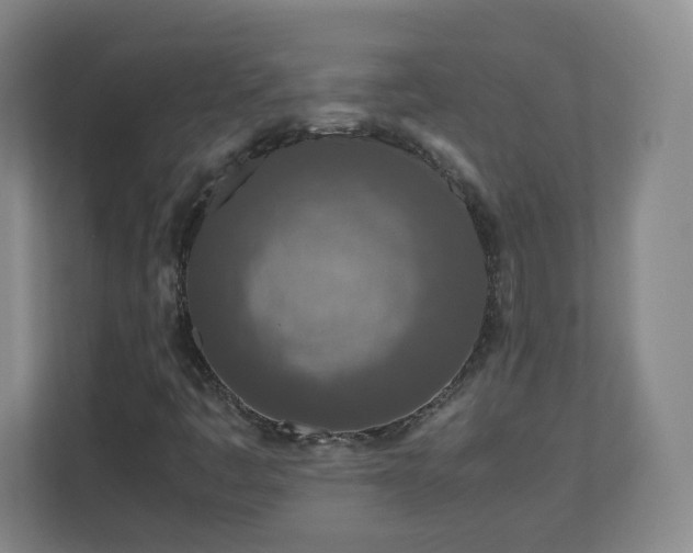 X0000110951445200906191241