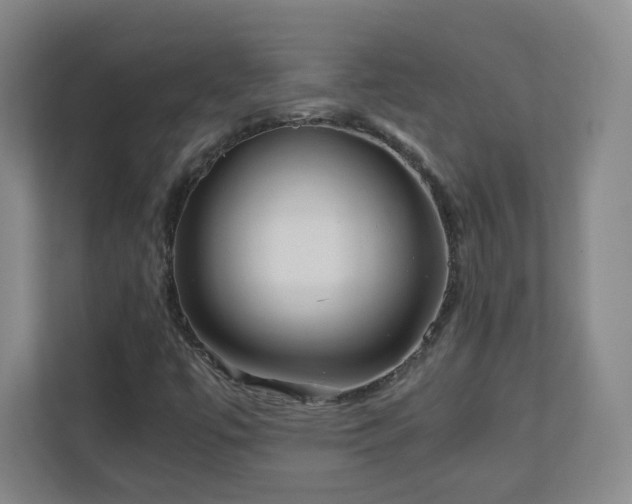 X0000110951447200906191241