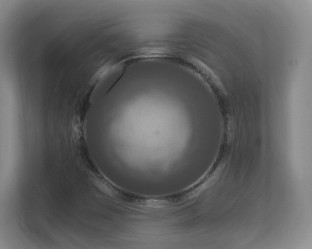 X0000110951449200906191241