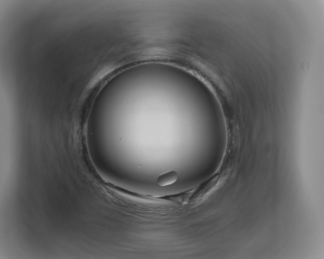 X0000110951453200906191241