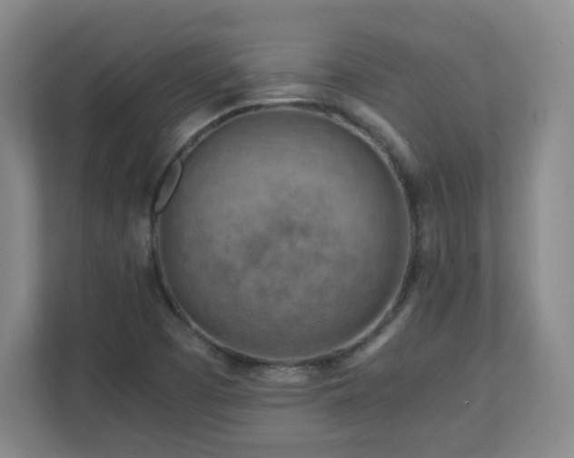 X0000110951457200906191241