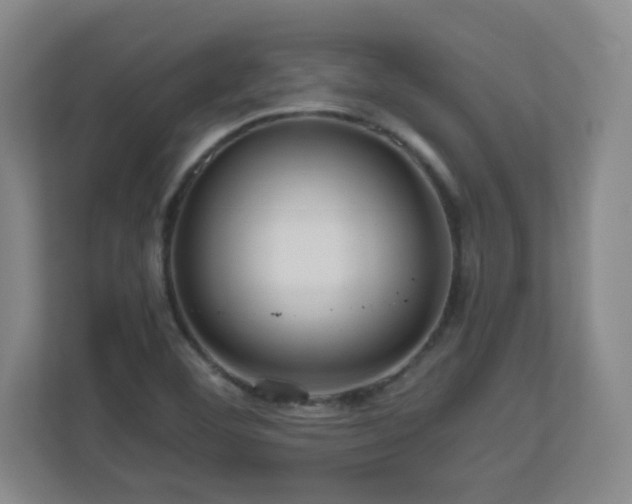 X0000110951460200906191241