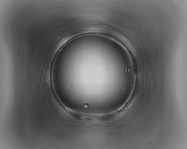 X0000110951465200906191241
