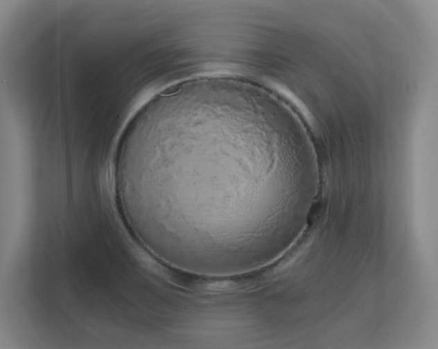 X0000110951467200906191241