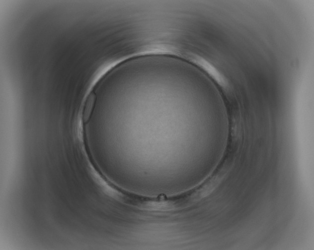 X0000110951468200906191241
