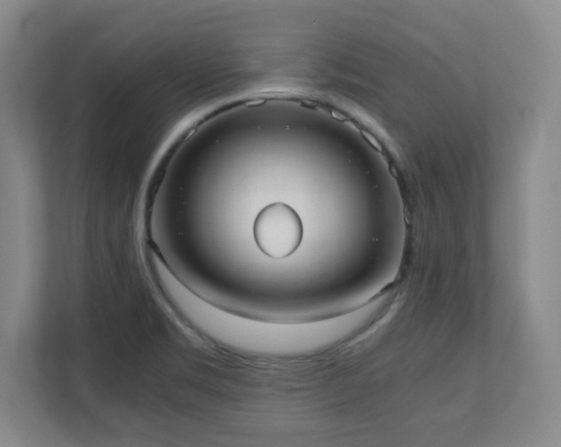 X0000110951469200906191241