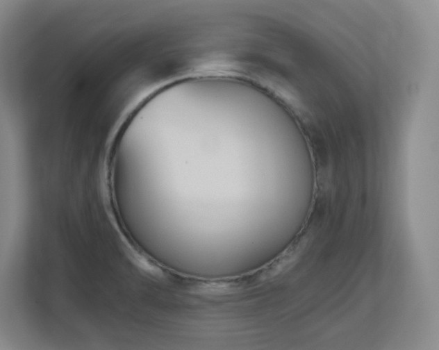 X0000110951470200906191241