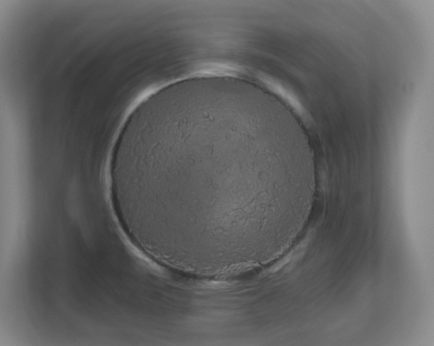 X0000110951471200906191241