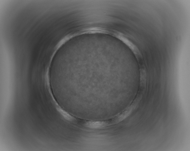 X0000110951474200906191241