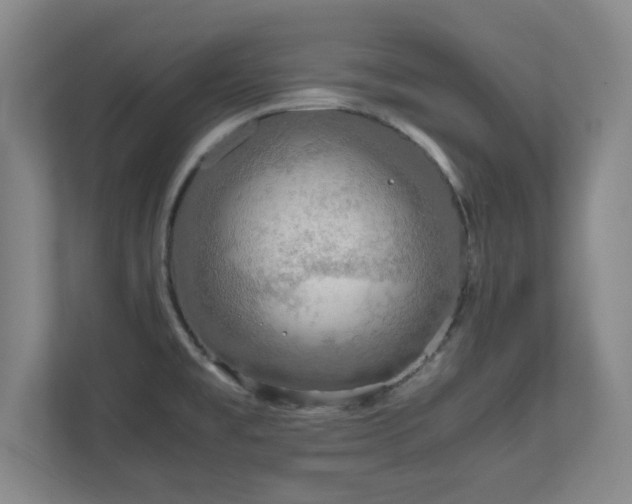 X0000110951477200906191241