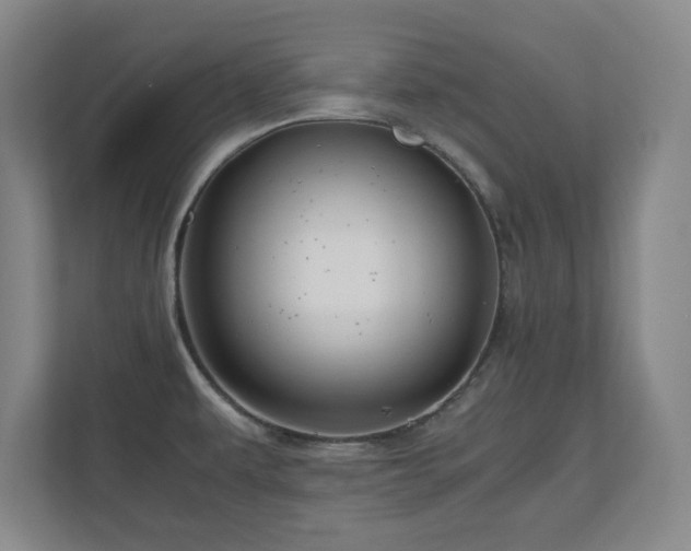 X0000110951479200906191241