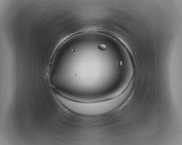 X0000110951481200906191241