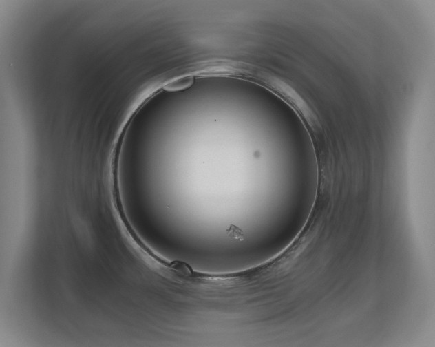 X0000110951483200906191241