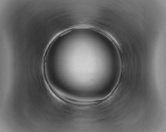 X0000110951484200906191240
