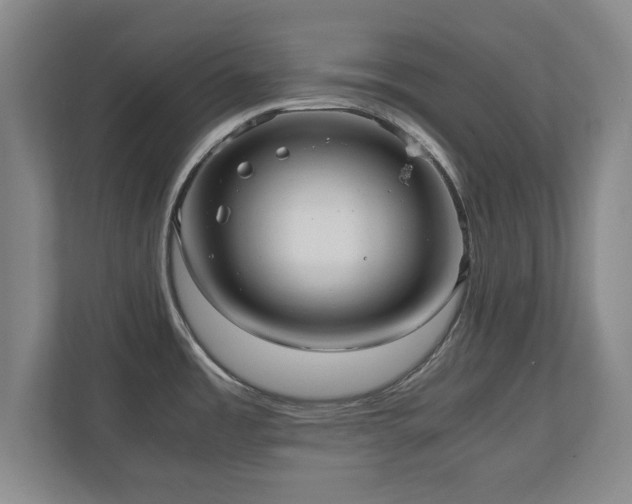 X0000110951485200906191240
