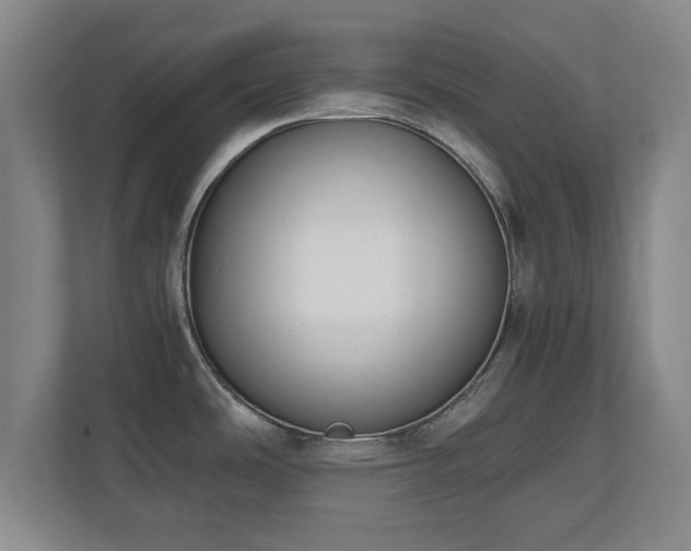 X0000110951486200906191240