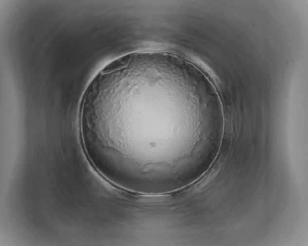 X0000110951487200906191240