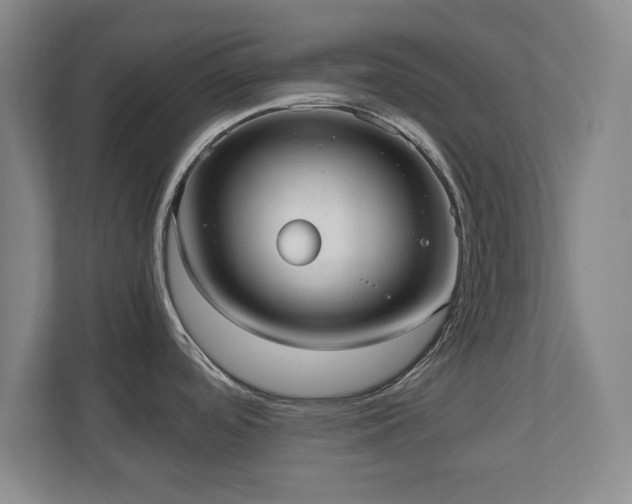 X0000110951488200906191240