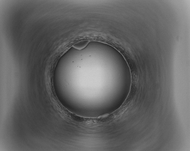 X0000110951489200906191240
