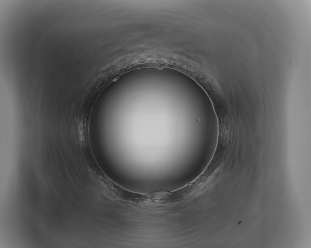 X0000110951490200906191240