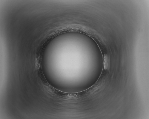 X0000110951491200906191240