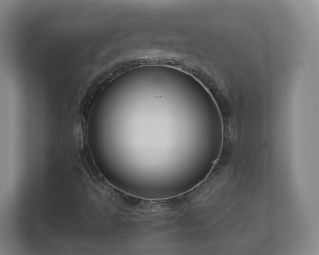 X0000110951493200906191240