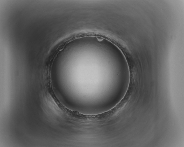 X0000110951494200906191240