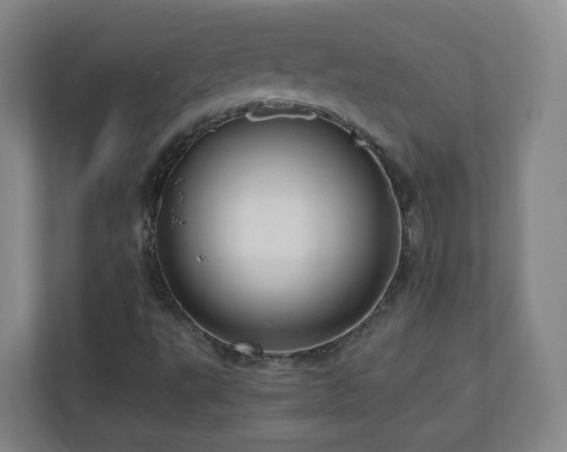 X0000110951495200906191240