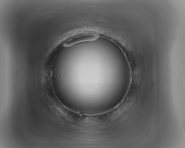 X0000110951496200906191240
