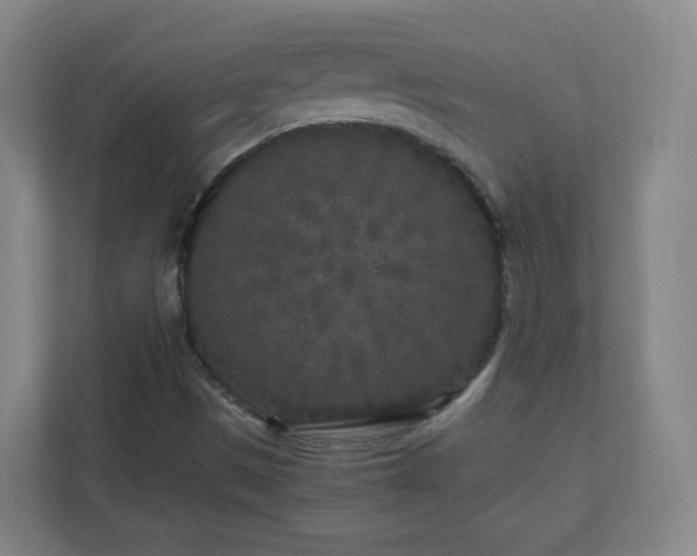X0000110951497200906191240