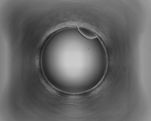 X0000110951499200906191240