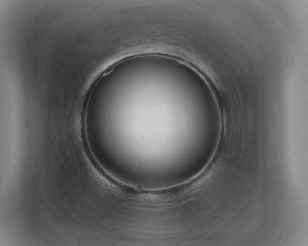 X0000110951500200906191240