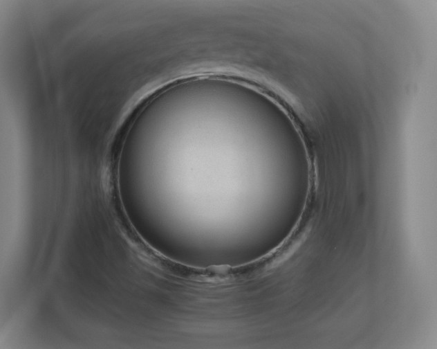 X0000110951501200906191240